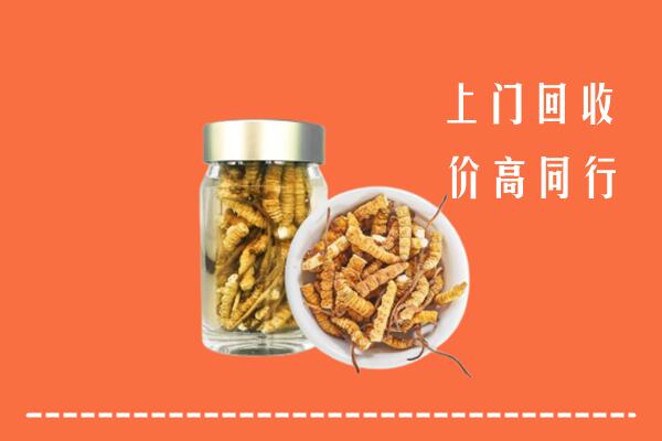 雅安市荥经回收冬虫夏草