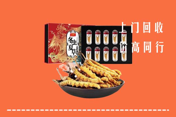 雅安市荥经回收虫草